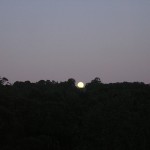 Moonrise over the firebreak